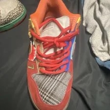 Nike SB Dunk Low Top ’s Mixed Pattern Lace-Up Sole Buck 3