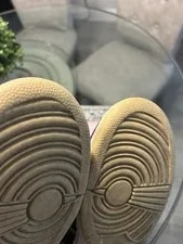 Nike Dunk Low SB 4