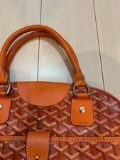 Goyard Paris Saint Jeanne Boston Herringbone 3
