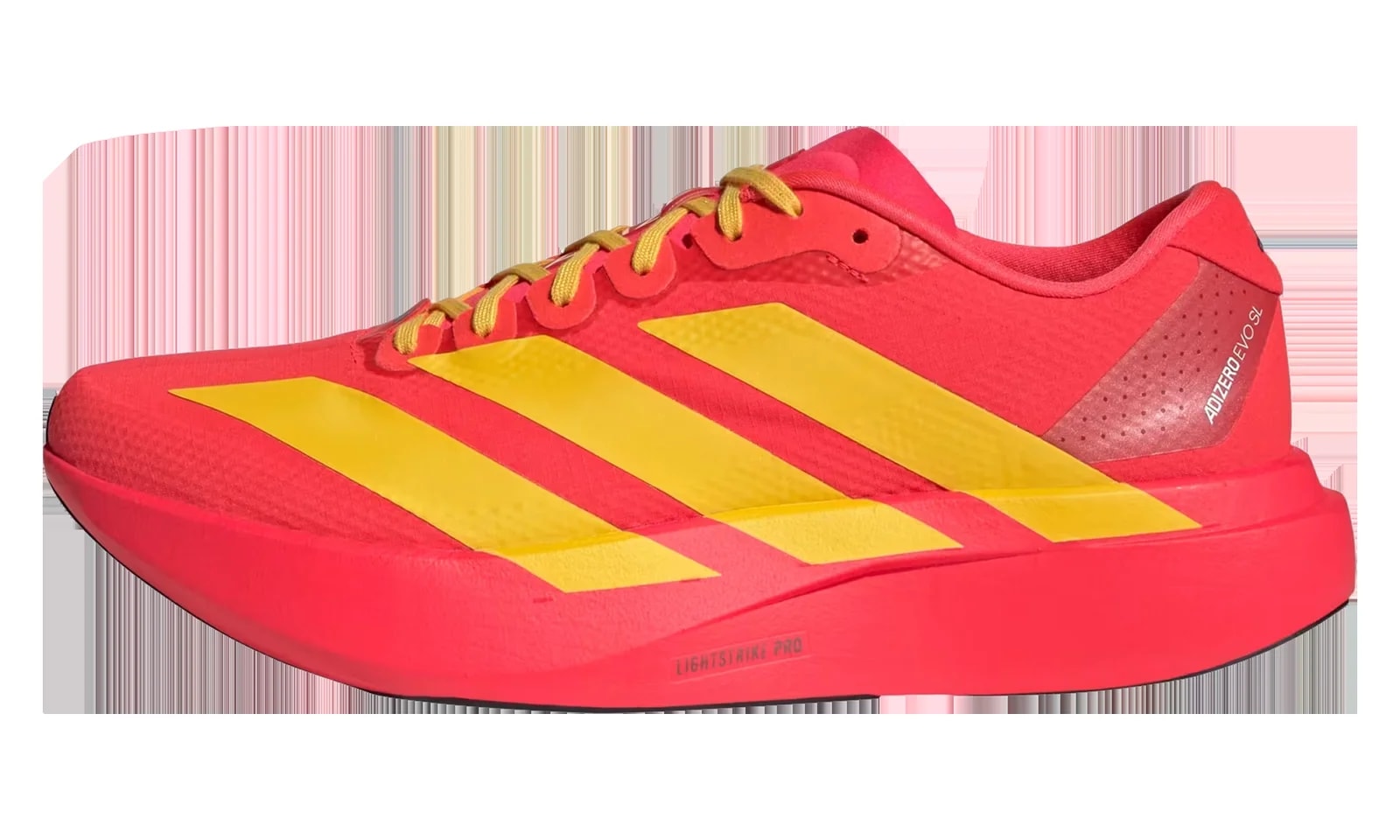 Adizero Evo SL "Lucid Bold " 2