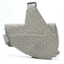 Dior Trotter Saddle ( Hardware) S 3