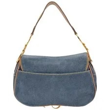 Christian Dior & Double Saddle 2