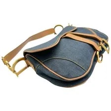 Christian Dior & Double Saddle 4