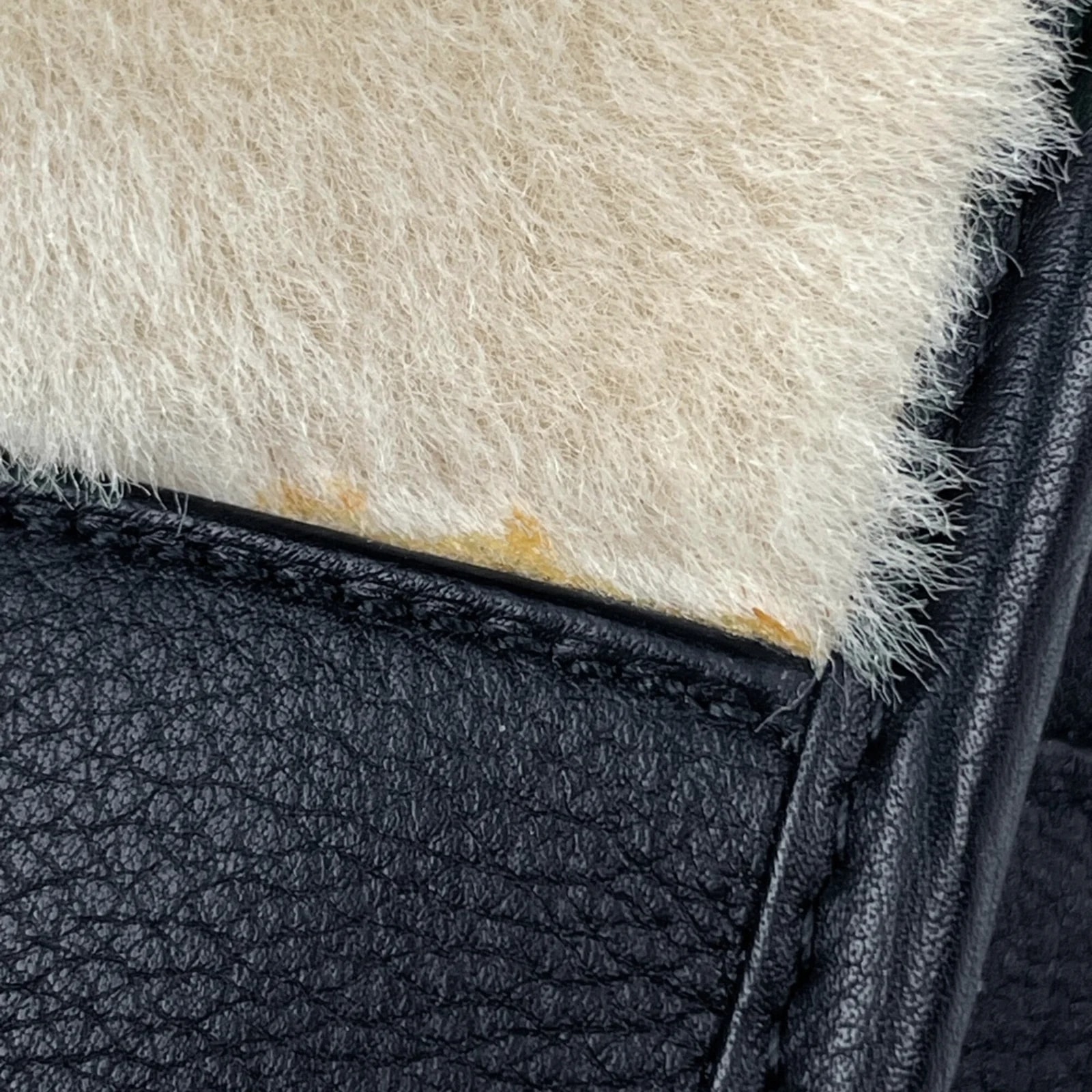 Loewe Amazona 4