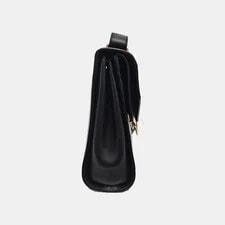 Bottega Veneta the Clip Bags 4