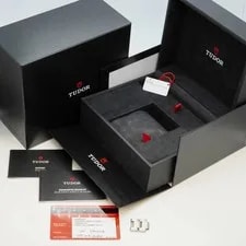Tudor Black Bay 79230R Dial 2