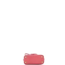 Prada Promenade Mini 4