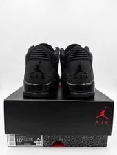 Air Jordan 3 Retro Cat 2025 3