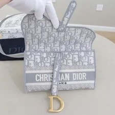 Dior Saddle Belt Flap [] 2