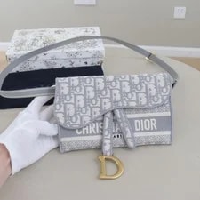 Dior Saddle Belt Flap [] 3