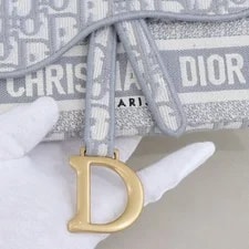 Dior Saddle Belt Flap [] 4