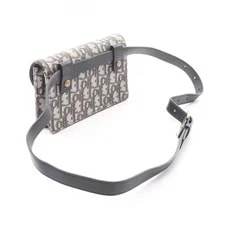 Dior Bag: Saddle Waist / W17H10D3cm; 2