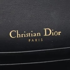 Dior Bag: Saddle Waist / W17H10D3cm; 4