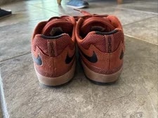 Nike Sb Ishod ’s 4