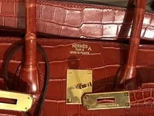 Hermès Birkin 35 VIF Matte Porosus GHW 3