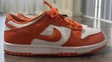 Nike Dunk Low Retro SP 4