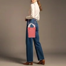 Goyard Poitiers and 2