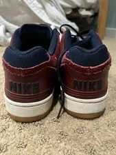 Nike SB ’S Low Top Lace-Up 4