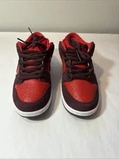 Nike SB Dunk Low Pro Crush Team ’s Size 9.5 (DM0807-600) 4