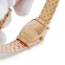 Audemars Piguet Carnegie 79300/1032OR TO310951 2