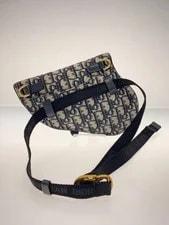 Christian Dior Saddle Hip Waist 3