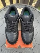 Size 11.5 - Nike SB Dunk Low Gino Lannucci 2. 304292-002. 3