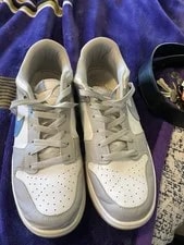 Nike Dunk Fog 3