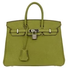 Hermès — Hermes Anis Birkin 25 □M 166954 — Handbag — resale