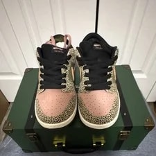 Nike SB Dunk Low “Arts-Rec” Special BOX 10.5M/12W 4