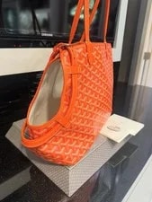 Goyard Chien- Pet Carrier in (2024) 2