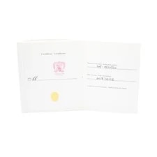 Cartier Ballon Bleu 28mm W69010Z4 3009 Silver Dial Steel Papers 3