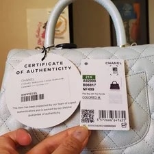 Chanel Iridescent Irridescent Small Coco Handle 2