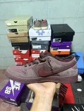 Nike SB Dunk Low Crush Dark Team Size 10.5 FN0619 600 2