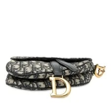 Dior Saddle #R207280 3