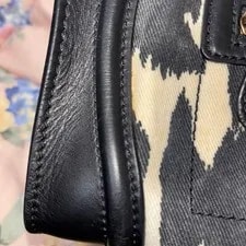 Celine Luggage Phantom Leopard 3