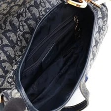 Christian Dior Saddle Trotter #RCB16221 3
