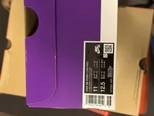 Nike SB Dunk Low Size 11 HF3063-400 3