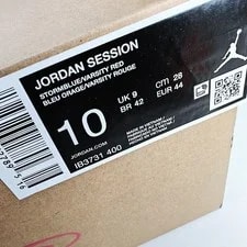 Air Jordan US 10 Gum Nike Skate Session IB3731 400 2