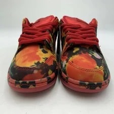 Nike Sb Dunk Low Field Fz1291 600 Dunk Low Pro 160 26 Gd850 2