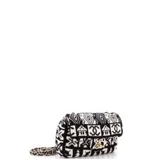 Chanel Coco Neige Flap 2