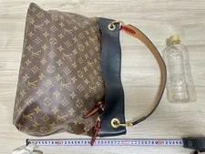 Louis Vuitton Tuileries Hobo M43154 3