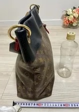 Louis Vuitton Tuileries Hobo M43154 4