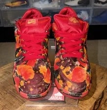 Size 17 the Wizard of Oz X Nike SB Dunk Low Pro Field Shoes FZ1291-600 2