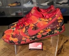 Size 17 the Wizard of Oz X Nike SB Dunk Low Pro Field Shoes FZ1291-600 3