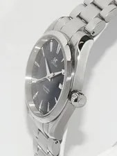 Omega Seamaster Aqua Terra 150m 2517 80 4