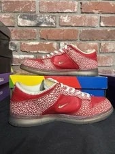 Size 11 - Nike SB Dunk Low Stingwater Preowned Original Box DH7650 600 2