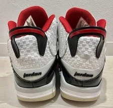 11.0US Air Jordan Dub Zero Bash 3