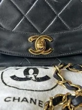 Chanel Diana Flap Plated Small 3