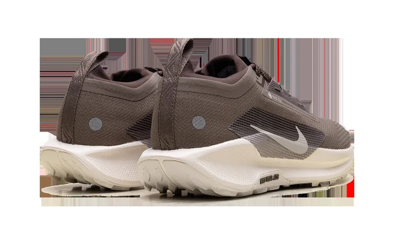 Pegasus Trail 5 Gore-Tex "Mink " HQ7494 200 3
