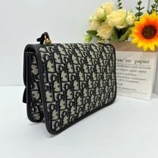 Dior Medium 4